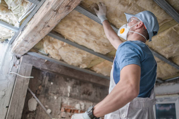 Best Insulation Maintenance and Repair in Herington, KS